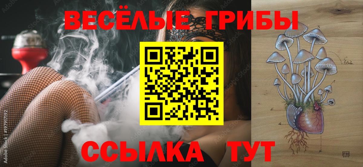 Галлюциногенные грибы прущие грибы Иваново