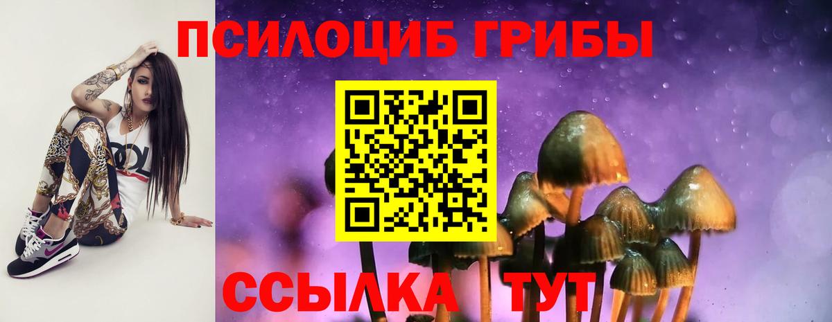 Иваново  Псилоцибиновые грибы Psilocybine cubensis  Вход с VPN 